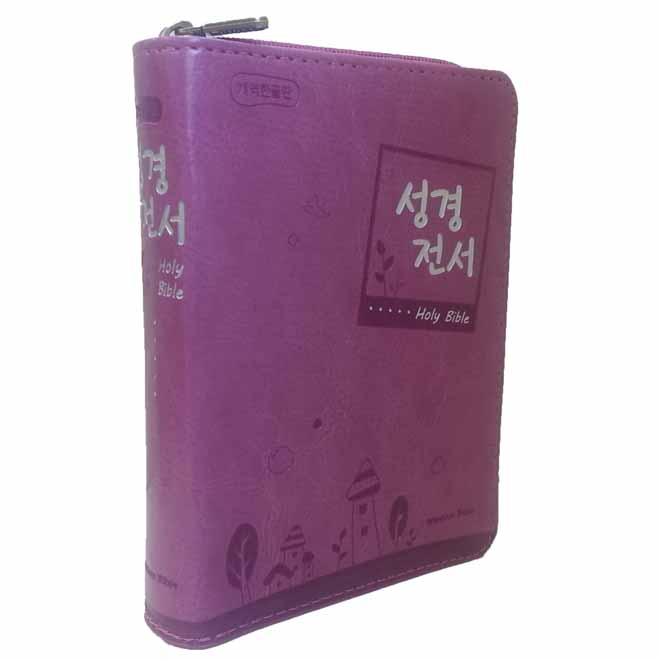 [ѱ] holy bible (42TM/ܺ) - ޷