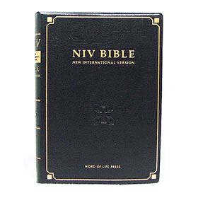 NIV BIBLE ҽź()