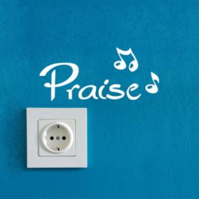 ̴Ϸ͸ - Praise()