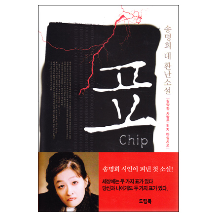 표(Chip)-송명희 대 환난소설