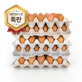 [당일발송] 맛있는 구운달걀 5판이상 ★특란★