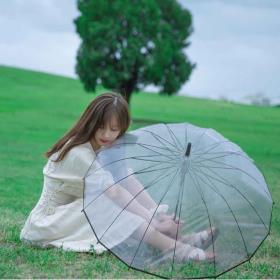 안심 가벼운 튼튼한 투명 우산 태풍 비닐 장우산