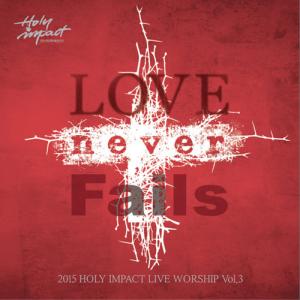 2015 홀리임펙트 라이브 워십 - LOVE never Fails (CD)