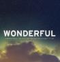Wonderful - Live Worship from Vineyard National Conference vol.1 (CD)
