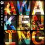 Passion 2010 - AWAKENING (CD)